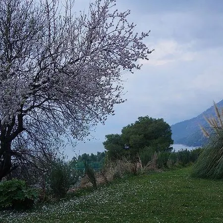 Aparthotel Pantheon & Nerotrivia