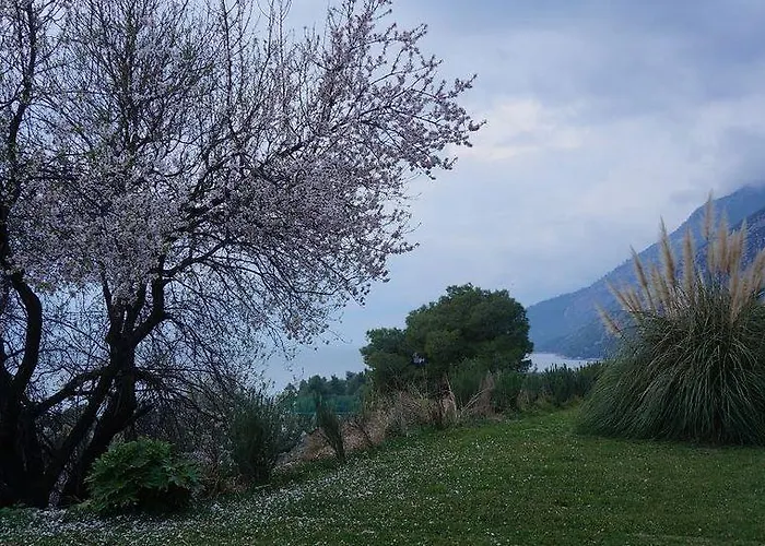 Aparthotel Pantheon & Nerotrivia